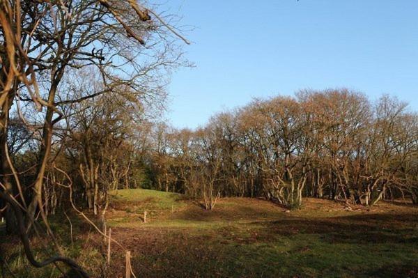 'de Bosrand' Ferienhaus *